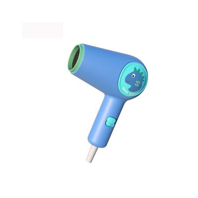 China New Customized 178*64*121.5 Ionic Foldable Hair Dryer for Home or Hotel and Travel for sale