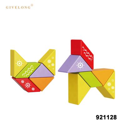 China Interesting New Eco-friendly Material Series Assemble Magnetic Blocks Educational Toys for sale