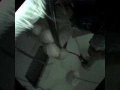 Feline Pharyngeal Stenosis Diagnosed by Retroflexed Rhinoscopy