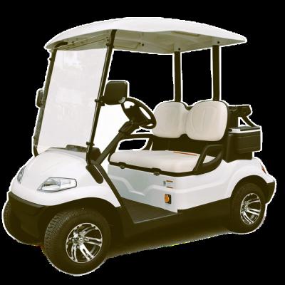 China Wintao 2 Seater Mini Buggy Smart Electric Golf Carts 12x7 Stylish Faster Aluminum Rim & Tire 23.5*10.5-12 for sale