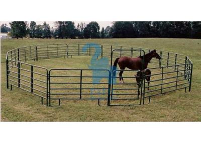 China Square Portable Horse Corral Panels Gate , Silver / Green Horse Round Pen Panels for sale