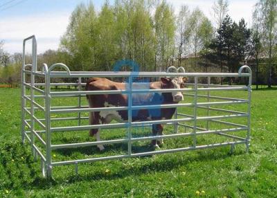 China Hot Dip Galvanized Steel Temporary Corral Fence Panels‎ 2100 * 1600mm For Pasture for sale