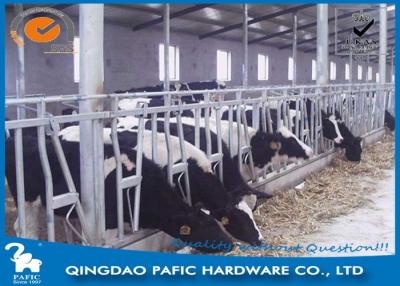 China Livestock Farm Locking Feed Barriers / Steel Galvanized Cattle Headlock Plan for sale