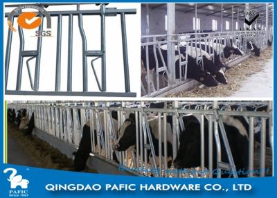 China 1050mm Height Locking Feed Barriers for 8 Cattle in Pasture for sale