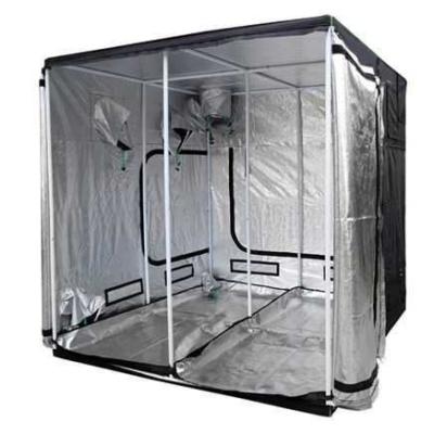 China Sustainable Custom 600D Greenhouse Grow Tent, Plants Grow Box, Mini Grow Tent for sale