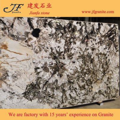 China Wonderful White Countertop Granite Stone Alpinus Granite Slab for sale