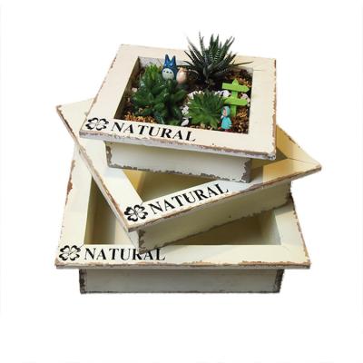 China Eco-friendly Wooden Box Custom Succulent Planter Decorative Wooden Pots for sale