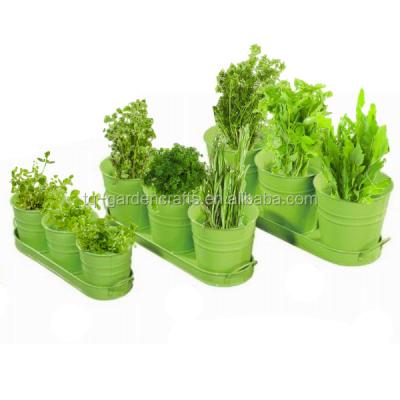 China Eco-Friendly 3 Mini Flower Pots Window Herb Planter Set for sale