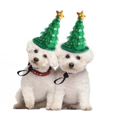 China Viable Dog Accessories Factory Direct Selling Funny Pet Supplies Pet Hat Green Dog Christmas Hat Dress for sale