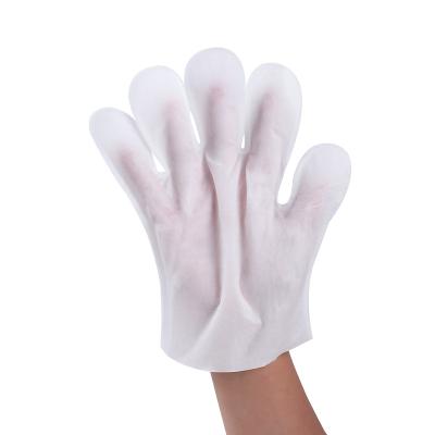 China Comfortable Sustainable Conveniently Nonwoven Relieve Dog Cat Product Remover Cleaning Pet Itchy Gloves for sale