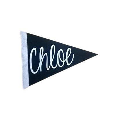 China Healthcare Institute Souvenir Custom Printing Triangle Felt Pennant Flags Sport Activities for sale