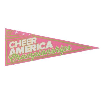 China Healthcare Institutes Customized Sport Felt Banner Felt Pennants Customized Advertising Felt Pennant Flag for sale