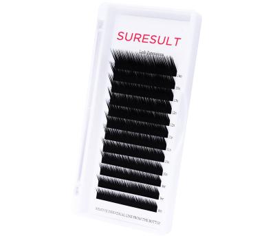 China Single Lashes Tray 0.03 Natural Long Eyelash Extensions Private Label 0.05 0.07 0.10 Different Classic Bulk Faux Mink Eyelash Extensions for sale