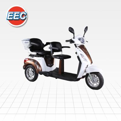 China Ce popular of passenger 3 wheel fat tire 1000W 60V with 6-8H lithium battery removable electric motorcycle scooter for sale