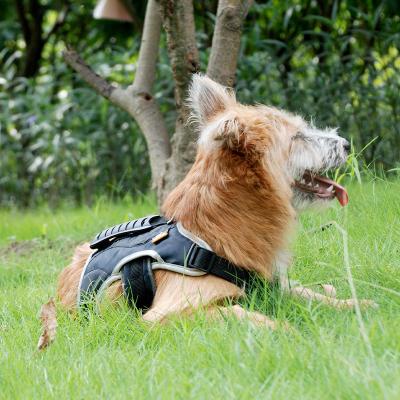 China Viable Large Dog Chest Strap Pet Chest Strap Leash Vest Pet Supplies for sale