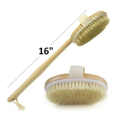 China All Natural Long Handle Body Brush Wooden Body Cleansing Shower Hard Brush Sisal Best Price for sale