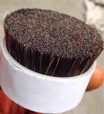 China 60mm viable boar bristle hair for sale