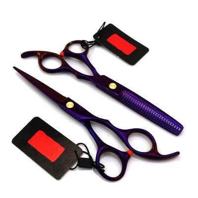 China Thinning Scissors Customized Your Logo 6 Inch Purple Band Hair Scissors Metal Hairdressing Scissors Custom Hair Scissors. WB100-506 for sale