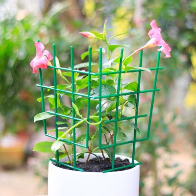 China Modern Eco-Friendly Frame Eco-friendly Durable Plant Support Adjustable Garden Potted Plant Climbing Plastic Vitality Support for sale