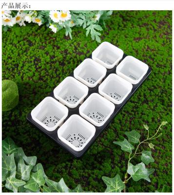 China Tray Black And White Shallow Square 8 Hole Plastic Succulent Bonsai Pots Flower Pot Durable Material Water Storage With Trays for sale