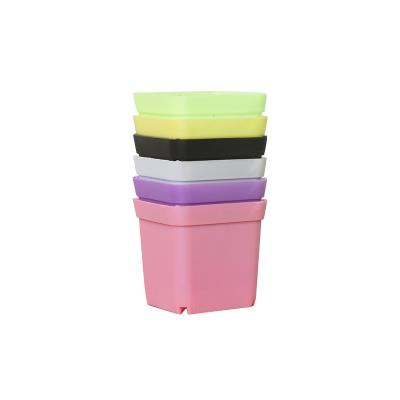 China Minimalist best selling colorful plastic square cheap succulent plant mini flowerpot pots for flowers for sale