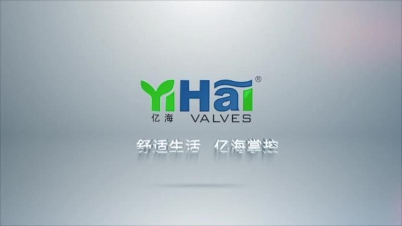 Verified China supplier - Shaoxing Honglin Controls Co., Ltd.