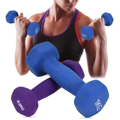 China Matte Dumbbells Rack Dumbbells Home Use Dumbbells Dumbbells Rack Home Weightlifting Dumbbells Weights Diet Home Use Fitness Equipment for sale