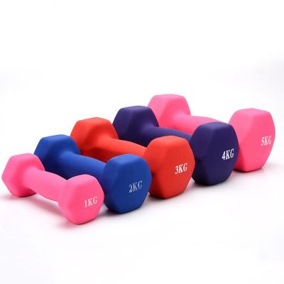 China Home Use Fitness Equipment Matte Dumbbells Rack Stands Home Weightlifting Dumbbells Rack Hand Weights Slimming PVC Dumbbell for sale