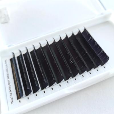 China 0.03mm Long C Curl Natural Single Trays Russian Volume Lashes Individual False Eyelash Extensions for sale