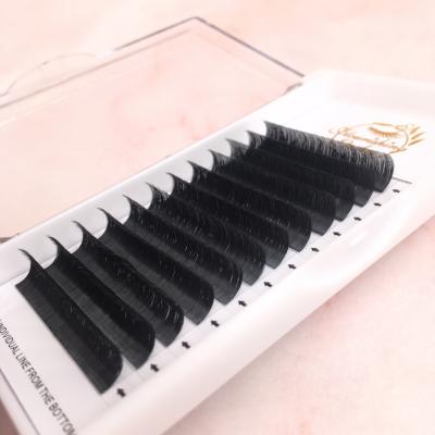 China Individual Lashes 0.05mm D Loop Auto Fan Whips Blooming Lashes Eyelash Extension for sale