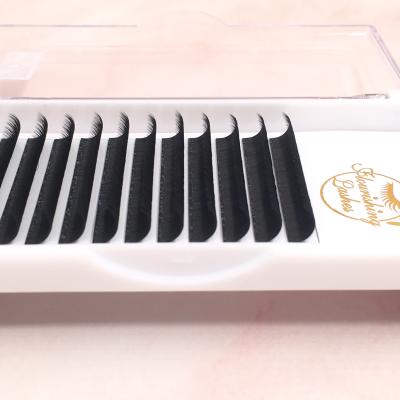 China Individual Lashes 0.07 Mm D Curl Automatic Fan Lashes Blooming Lashes Eyelash Extension Easy Fan for sale