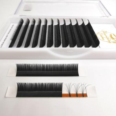 China Long Natural Blossom Whips Different Top PBT Eyelash Extension Mink Wick Sellers for sale