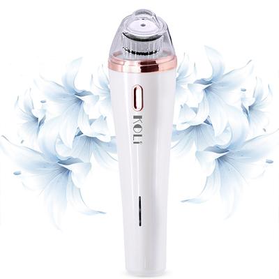 China 2020 New Hot Selling Acne Treatment Skin Care Best Pore Blackhead Remover Vacuum for sale