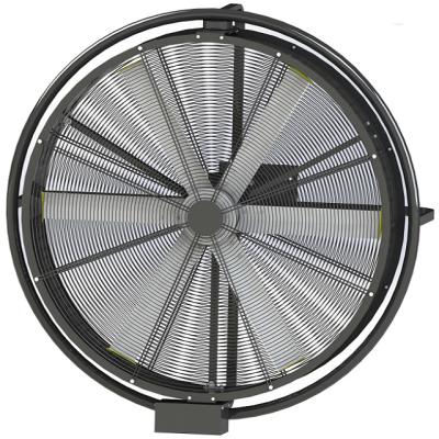 China Industrial Warehouse 1020mm/40in Cattle Exhaust Fan High Volume Ventilation Wall Fan Oscillating Wall Mounted Fan for sale