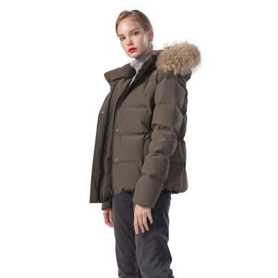 China Ladies Hooded Winter Warm Goose Waterproof Down Jacket Woman Coat For Women Stripper Quilted With Detachable Hood And Ribbed Customized for sale