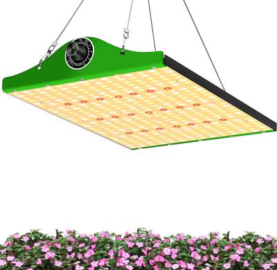 China FLOWER LED Grow Light Phyto Lamp 1000w Full Spectrum Grow Lights For Indoor Plants Garden Grow LED Tent Plant Light for sale