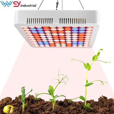 China Seed Starting Factory Direct Discount Led Grow Light 300W For Farm Greenhouse Hydroponics for sale