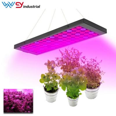 China Seed Starting CE Listed 45W Led Grow Light Shenzhen Wenyi Grow Lights Wholesale for sale