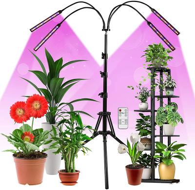 China Seed Starting Amazon Hot Selling Full Spectrum 80W Grow Light Control 4/8/12 Timer Plant Light with Adjustable Tripod Stand for Floor Plants for sale