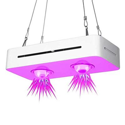 China Seed Starting Horticulture 300W Led Grow Light For Hydroponic Growing Plant for sale