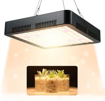 China Seed Starting CE Certificate 1000w Grow Light For Canada Growing Plant Led for sale