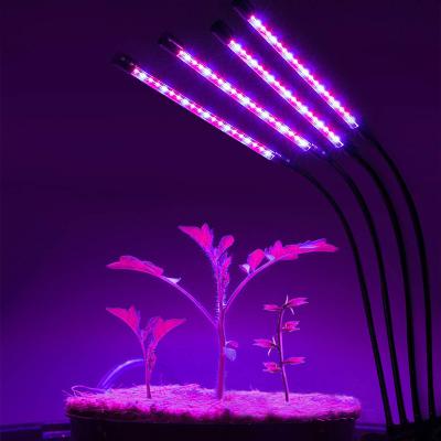 China Easily used on table or shelf Wenyi LED Grow Full Spectrum Fitolamp Phyto USB Light Lamp with Control Phytolamp for Plants Seedlings Flower Home Phytotape for sale