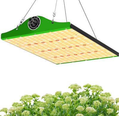 China Seed Starting $15 OFF 1000W Dimmable Full Spectrum Waterproof Led Grow Light For Indoor Plants for sale