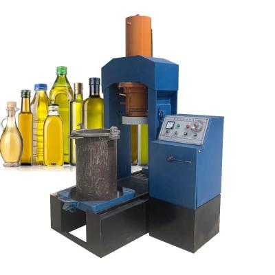 China High efficient sunflower oil machine South Africa benteng mini palm oil press machine multifunctional automatic avocado oil processing machine for sale