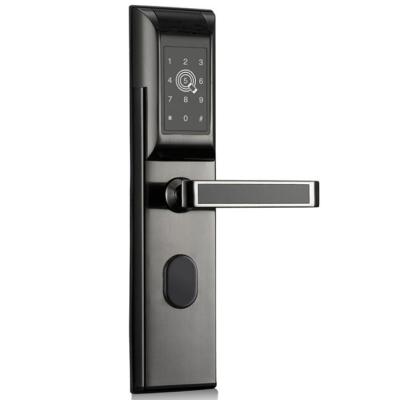 China Zinc Alloy And Glass Panel Digital Apartment Lock App Manage Touch Password Pin Code Lock For Airbnb House Hostels for sale