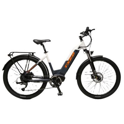 China Standard Premium Medium Motor 250w City Electric Bike With Rear Carrier for sale