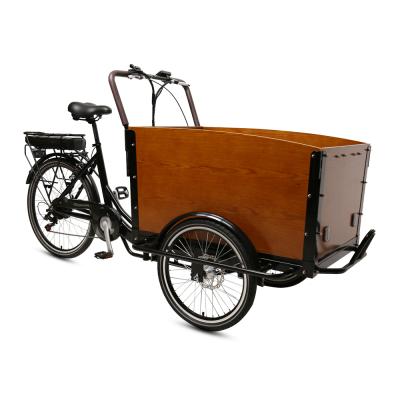 China 36V 250W Electric Bike Aluminum Alloy 3 Wheel Cargo Electric Bike for sale