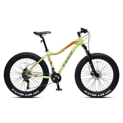 China Aluminum Alloy 26 Inch Mountain Bike Fat Tire Cycle Price Alloy Bike 24 Speed for sale