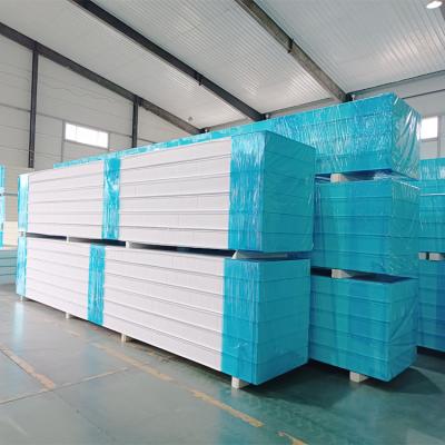 China Modern Hot Selling/Beautiful Modern Rigid/Polyurethane Foam Insulation Board/Special Cold Room Freezer Construction for sale