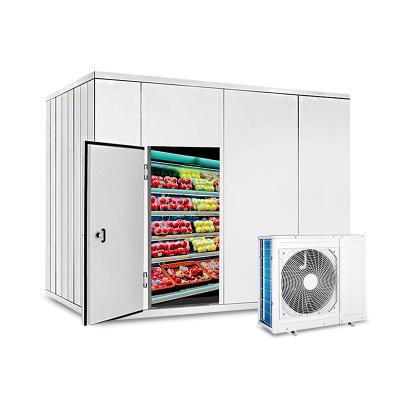 China Medium Large Container Cold Room Small Size Cold Storage Room Cool Freezing Refrigeration For Fresh Meat for sale